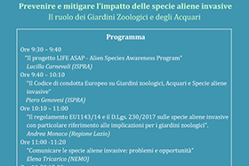 ASAP al Museo civico di zoologia di Roma